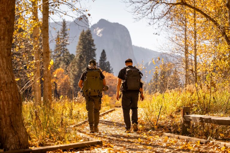 Journey Through Breathtaking Landscapes and Scenic Routes